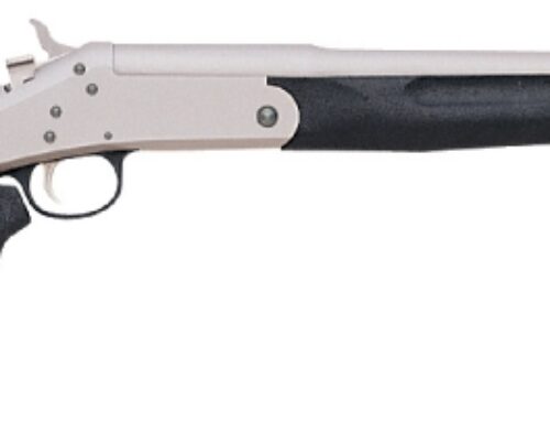 Harrington & Richardson Tamer SB1 .410